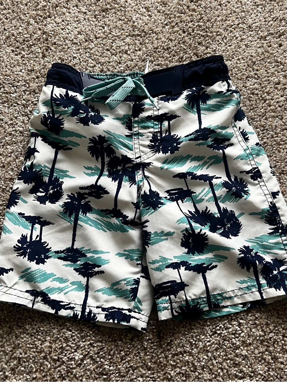 Cat & Jack Swim Trunks